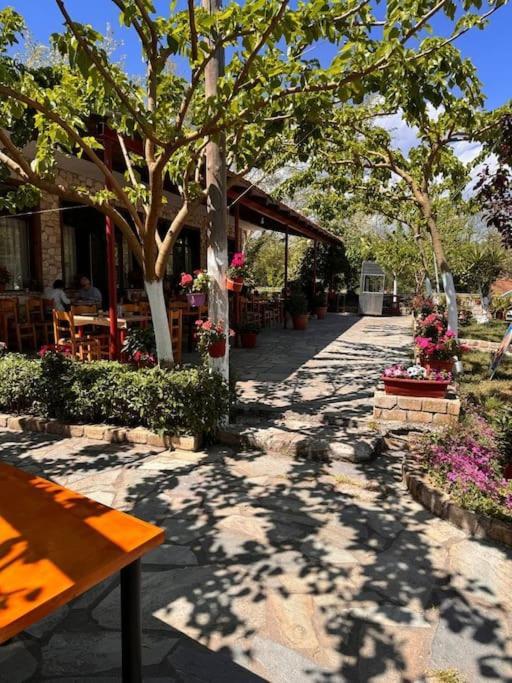 Family Woodland Oasis Vipgreece Lägenhet Kírinthos Exteriör bild